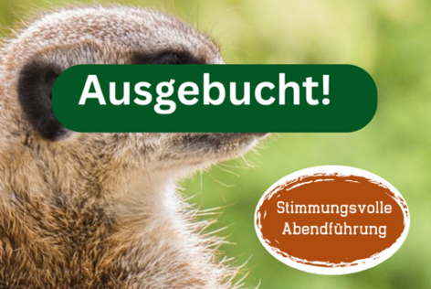 Greifswalder Kulturnacht im Tierpark erleben