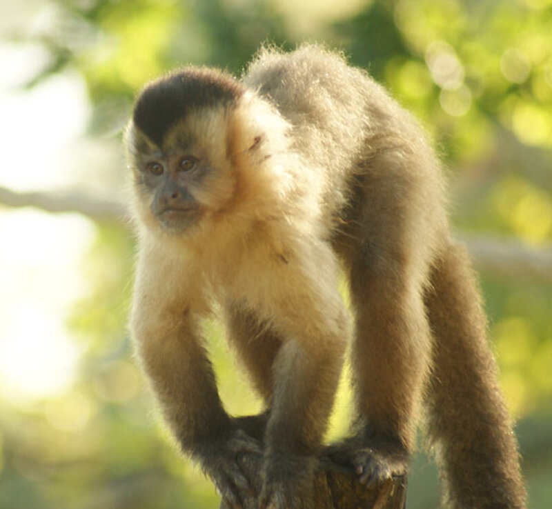 Tierpark Greifswald Teaser Tiere