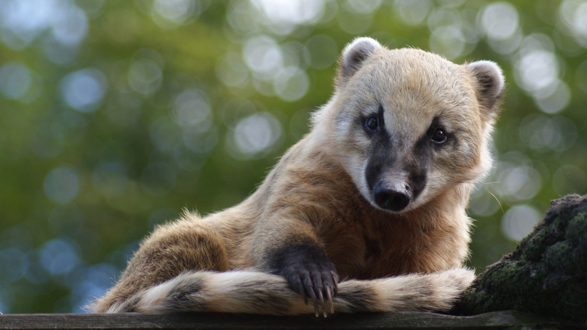 Willkommen im Tierpark Greifswald