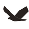 Seeadler icon