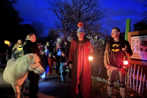 Martinsfest lässt Tierpark am Abend erstrahlen 